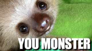 How to prepare and eat a sloth